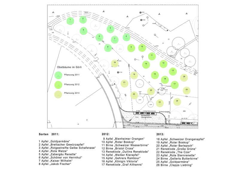 Standortplan Obstäume im Görlitzer Park